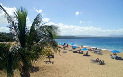 Cost Of Living In The Dominican Republic: What To Expect From Your Essentials